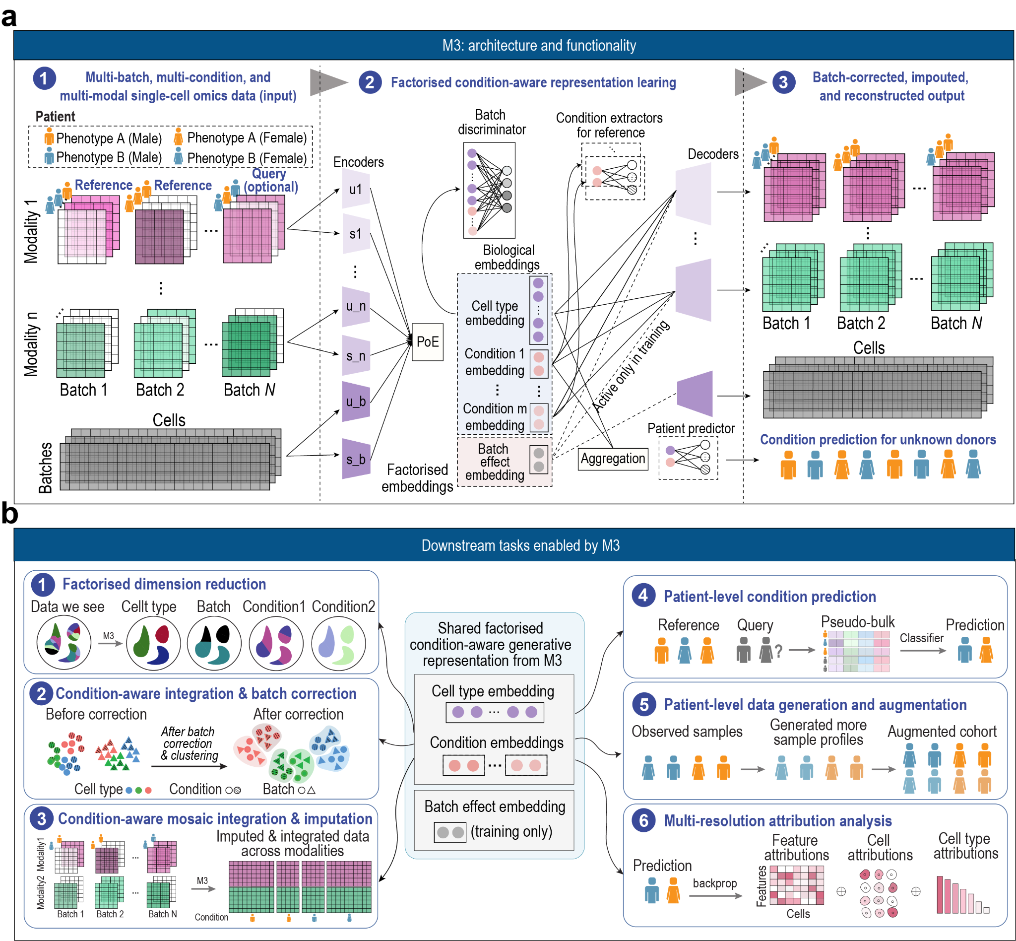M3 architecture and downstream tasks