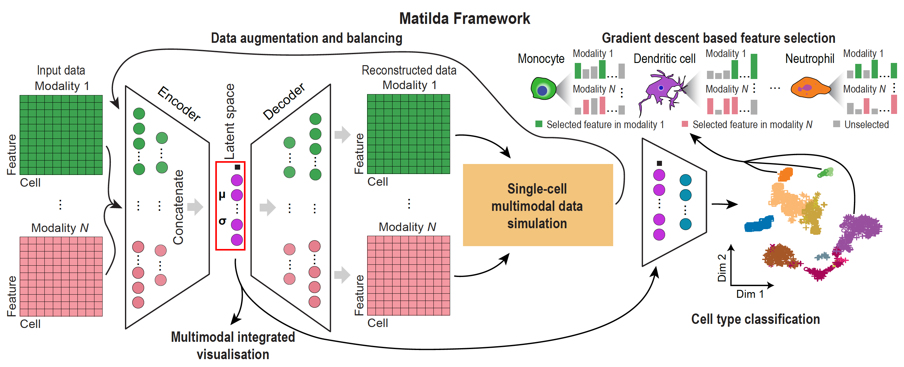 Matilda workflow overview